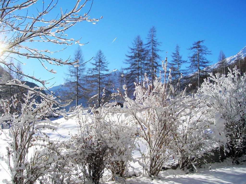 Pension Zur Alten Muehle Sölden Dış mekan fotoğraf